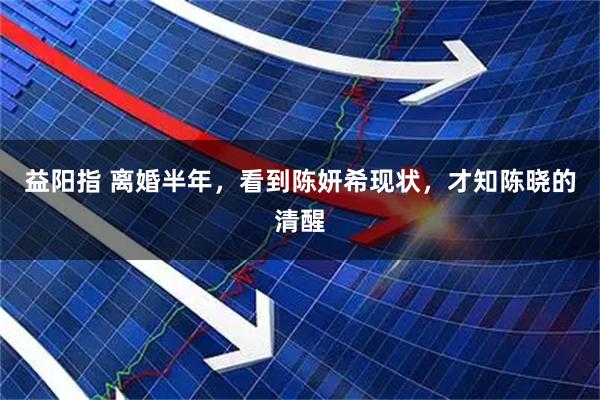 益阳指 离婚半年，看到陈妍希现状，才知陈晓的清醒