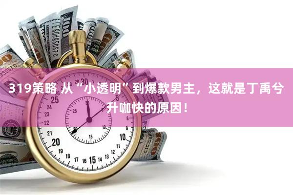 319策略 从“小透明”到爆款男主，这就是丁禹兮升咖快的原因！