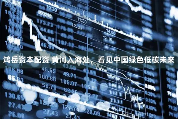 鸿岳资本配资 黄河入海处，看见中国绿色低碳未来