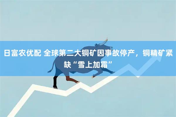 日富农优配 全球第二大铜矿因事故停产，铜精矿紧缺“雪上加霜”