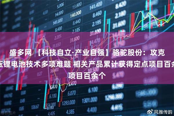 盛多网 【科技自立·产业自强】骆驼股份：攻克低压锂电池技术多项难题 相关产品累计获得定点项目百余个